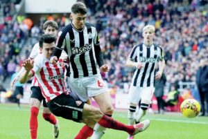 Magpies were
