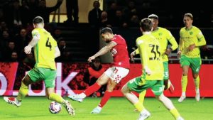 TAKE THAT: Nahki Wells fires home to double the Robins’ lead PICTURE: Alamy