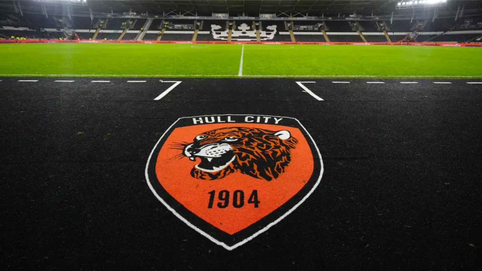 Sergej Jakirovic is the new boss of Hull (Mike Egerton/PA)
