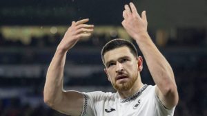 Swansea City striker Zan Vipotnik