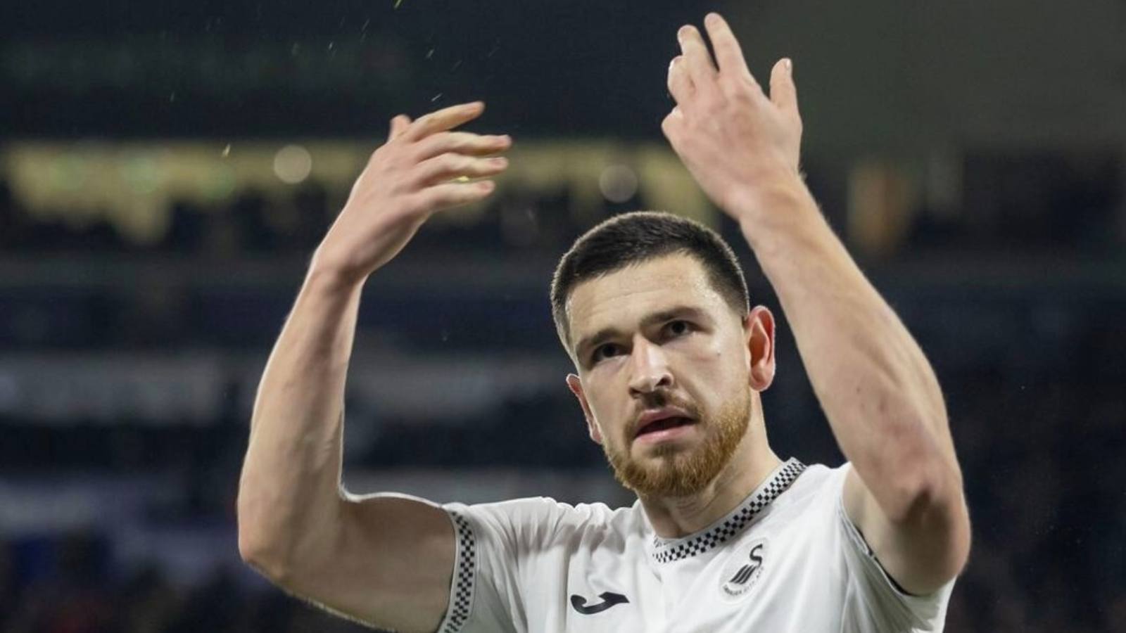Swansea City striker Zan Vipotnik