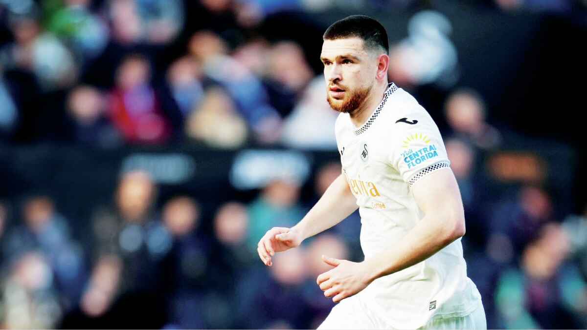 Zan Vipotnik is having a great season with Swansea City