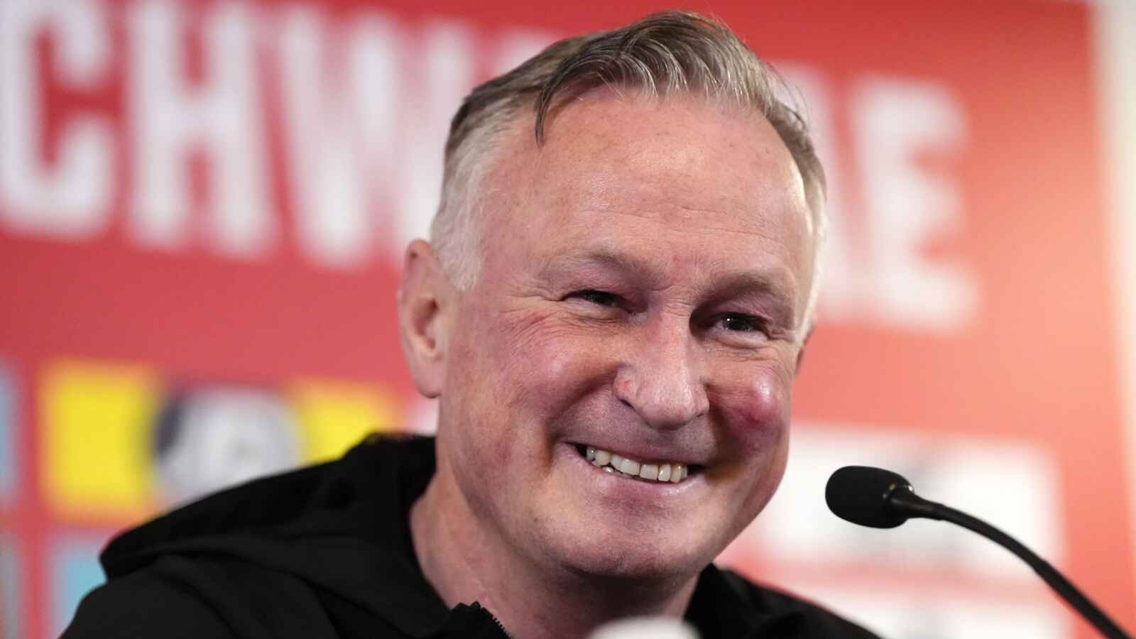 Northern Ireland Training and Press Conference – Cardiff City Stadium – Monday March 30th