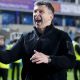 Hull City boss Sergej Jakirovic celebrates victory