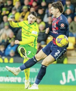 CANARIES CASH