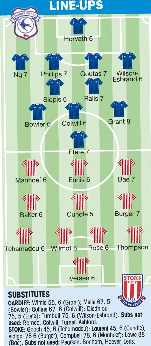 BLUEBIRDS CAN