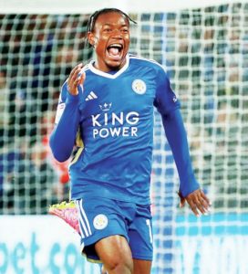 ‘FANTASTIC’ FOXES