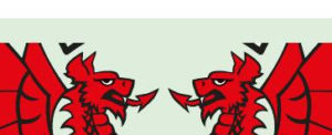 Wycombe Wanderers