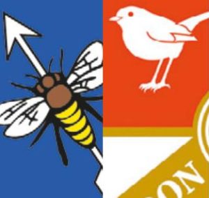 HIGH-FLYING ROBINS