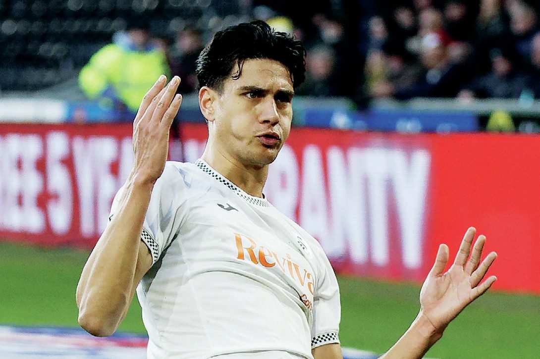 Marko Stamenic celebrates giving Swansea the lead