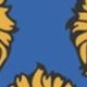 Frustrated boss insists Shrews ‘up for a fight’