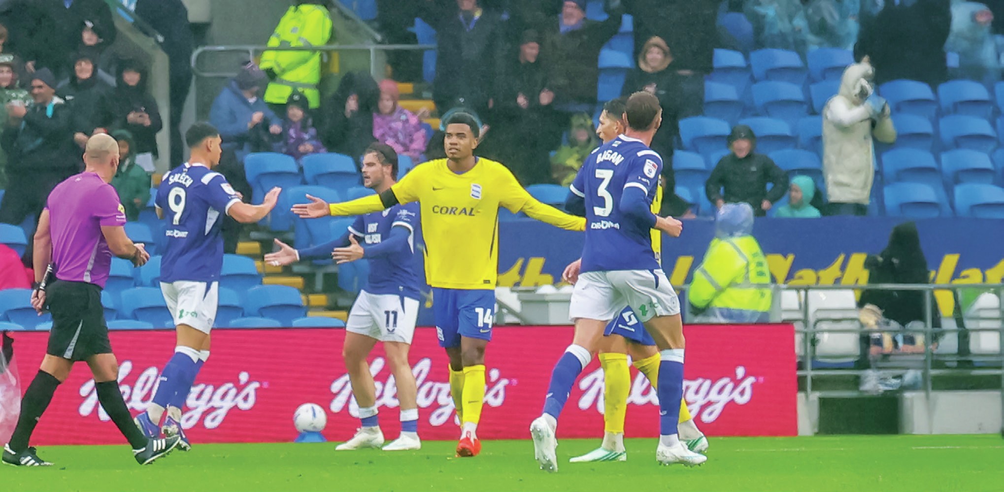 Chance Salech-tion lifts Bluebirds